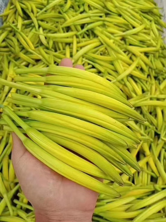 小暑全国“炫”菜地图出炉 你家夏日必吃哪道菜？
