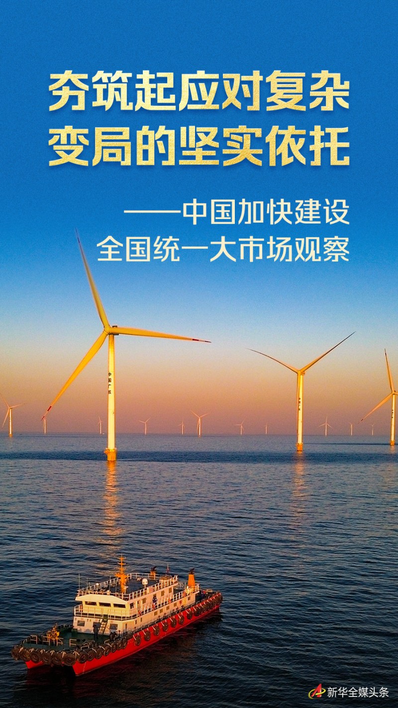 夯筑起应对复杂变局的坚实依托――中国加快建设全国统一大市场观察