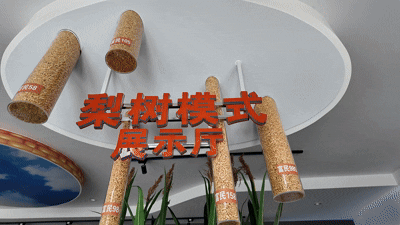 活力中国调研行｜以发展现代化大农业为主攻方向，吉林黑土地上的故事“热辣滚烫”