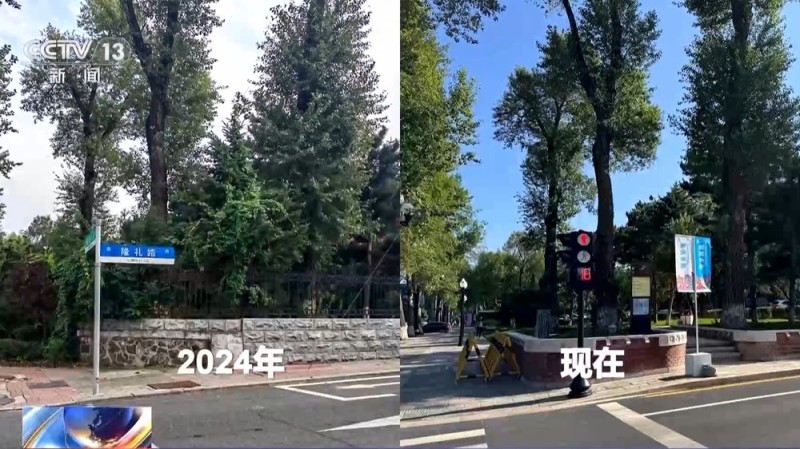 活力中国调研行丨 一砖一瓦皆故事 看百年老街如何焕新
