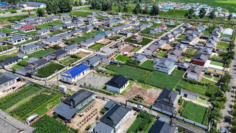 活力中国调研行丨从这里一窥东北乡村的未来――走进光东村