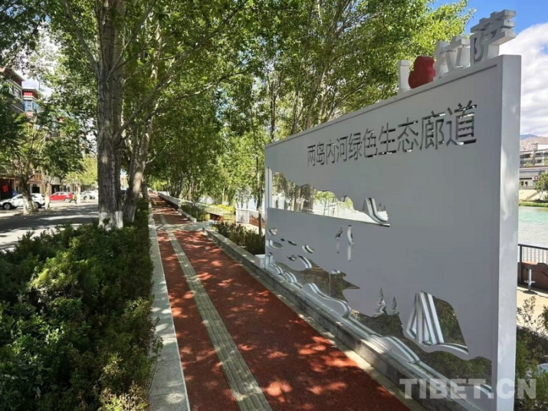 辉煌60年・我们的家园｜昔日荒滩变身美景 拉萨的诗意写在绿水青山间