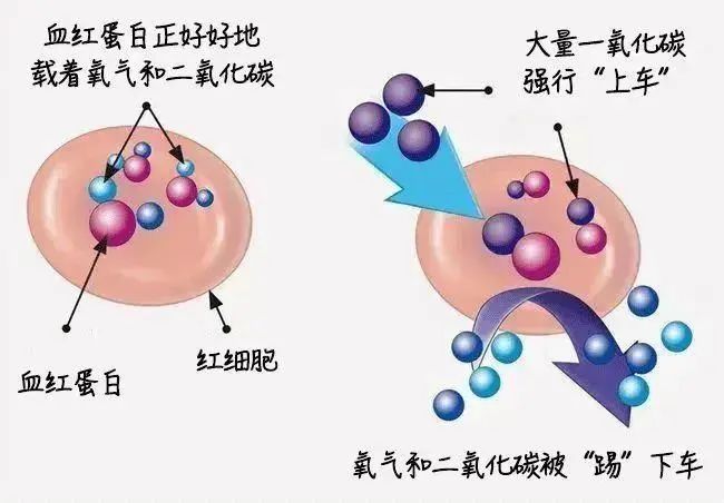 开着空调煮汤致四人中毒，夏天也要警惕这个“隐形杀手”→