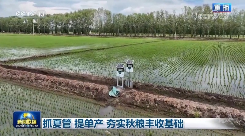 抓夏管 提单产 夯实秋粮丰收基础