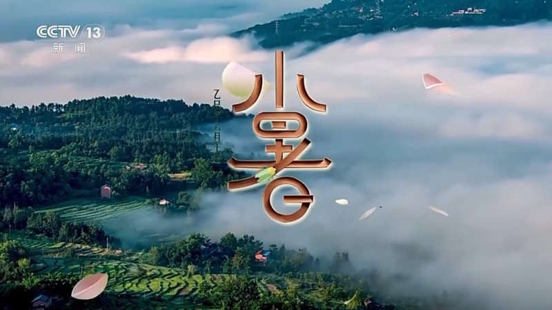 文化中国行丨二十四节气・小暑 感受节气里的自然律动