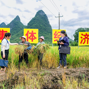 镜头丨护航美丽乡村建设