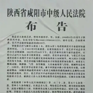 艺人张艺洋犯刑案已被枪决，知情人：他的家人已搬离村子，多名同村人讳莫如深