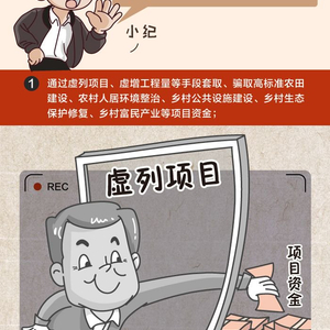 一定之规丨乡村建设项目管理中弄虚作假、损公肥私的行为不能有