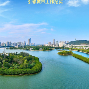 走出一条中国特色城市发展道路——以习近平同志为核心的党中央引领城市工作纪实