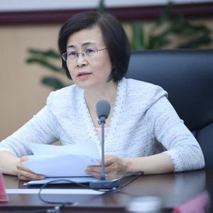 中央巡视期间，袭燕主动投案