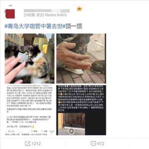 网友发帖称收养流浪猫的宿管大爷疑中暑去世，青岛大学相关部门：事情正调查处理