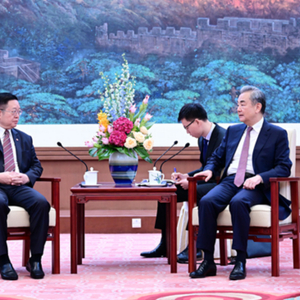 关键时刻，王毅会见东盟秘书长