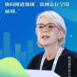 全球嘉宾点赞，中国贵州正点绿成“金”