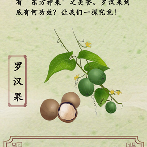 中药喻清廉丨罗汉果：甘凉润心 涤浊守正