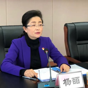 中央提级巡视后，杨皕任上主动投案
