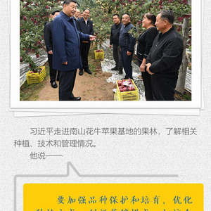 【改革为人民】长图丨这一年，总书记与人民在一起