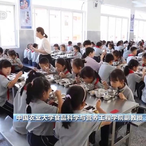 校园配餐首个国家标准发布 如何保障有效落地？专家解读