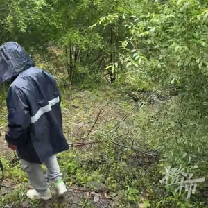 2死5失踪！江苏三对母女包车游坠崖落水，急寻事故目击者