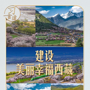 这个“桃花源”，习近平牵挂在心