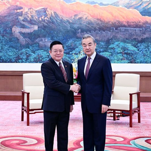 王毅会见东盟秘书长：近日柬泰边境冲突令人痛心和担忧