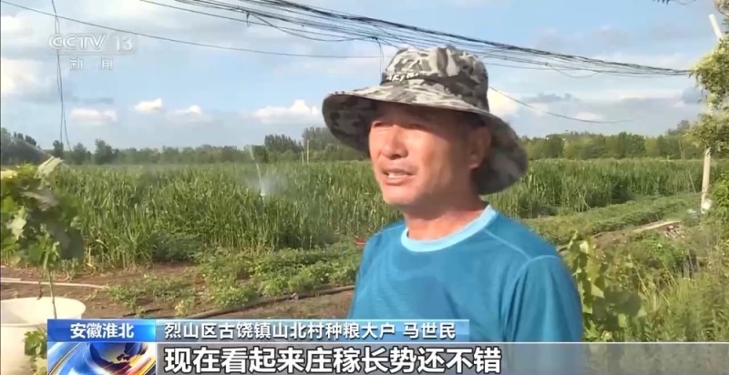 安徽持续高温天气 与时间赛跑抗旱保秋粮