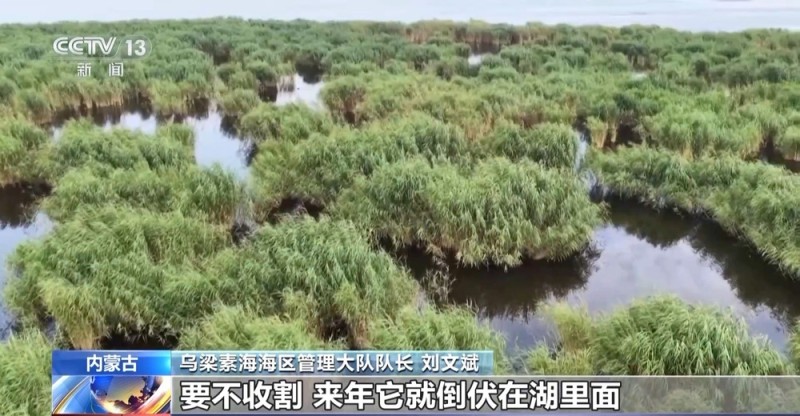 1000个废旧塑料餐盒变身3D打印椅 “变废为宝”又有新招
