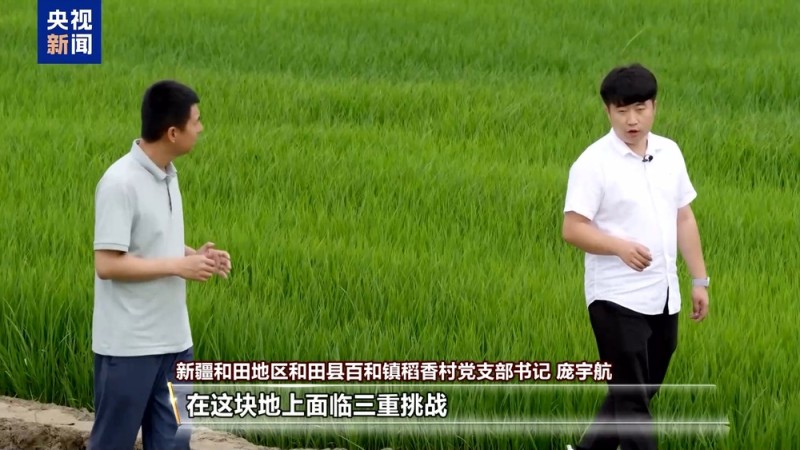 沙漠里也能养海鲜、种水稻？看新疆如何“点沙成金”