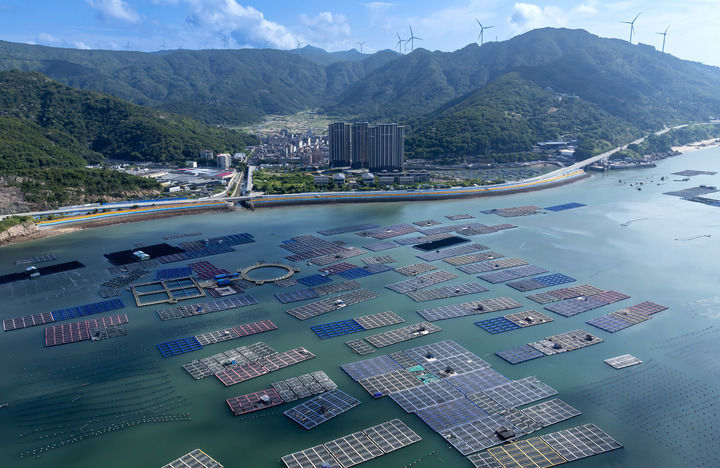 精耕深蓝，加快建设海洋强国――“中国经济圆桌会”聚焦海洋经济高质量发展