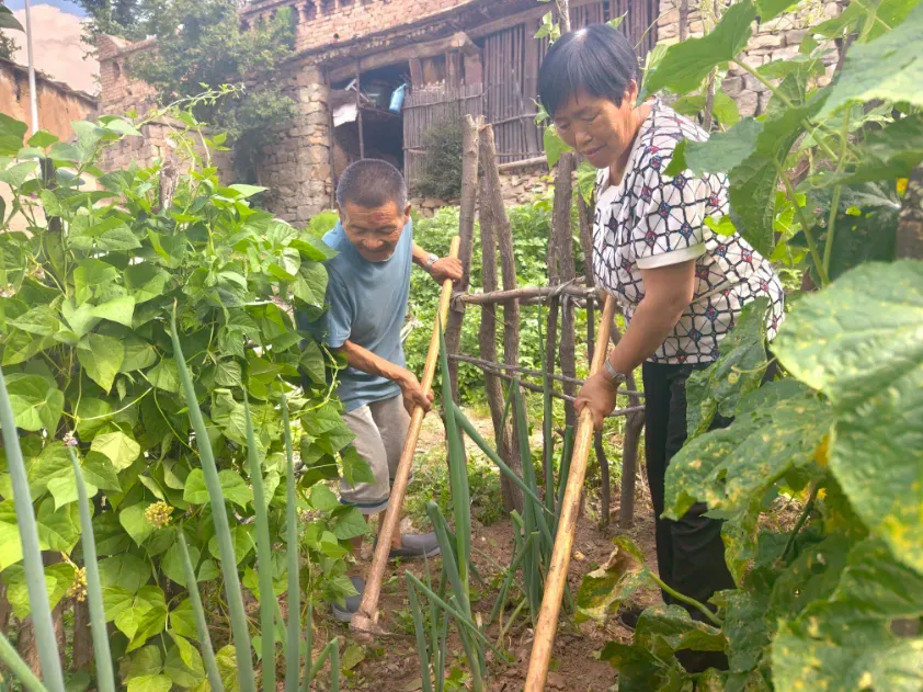 太行深处的爱心接力――平顺县黄崖沟村民20年轮流照顾残障邻居的故事