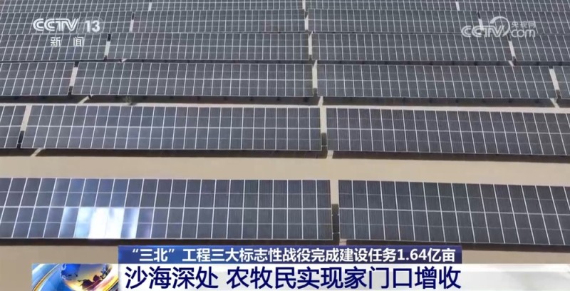 “三北”工程三大标志性战役成效如何?一组数据带你了解