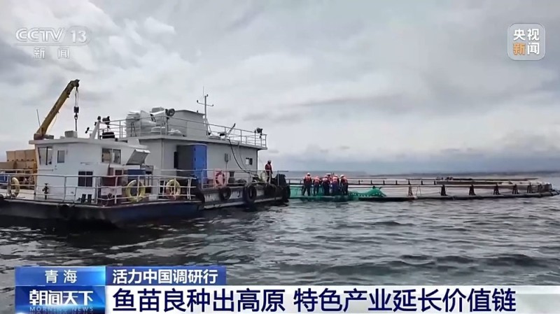 活力中国调研行丨“一季火”到“四季新” 高原小城打造文旅新名片