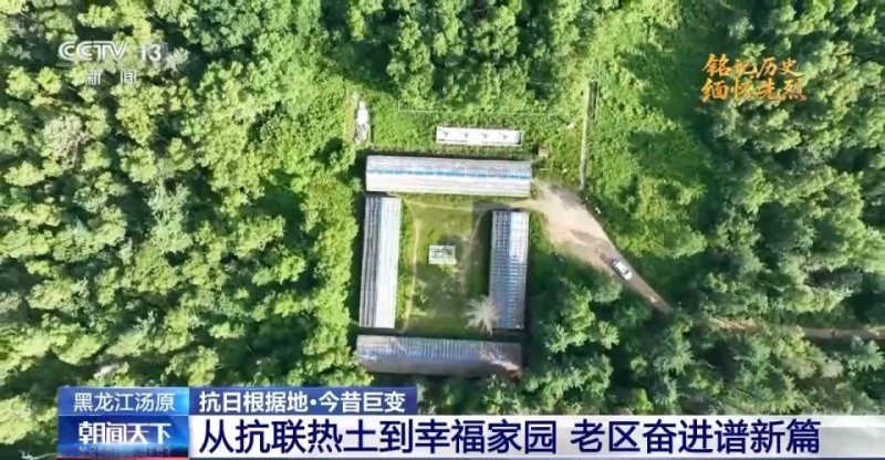 抗日根据地 今昔巨变丨抗联热土换新颜 解锁黑龙江汤原县的“经济密码”