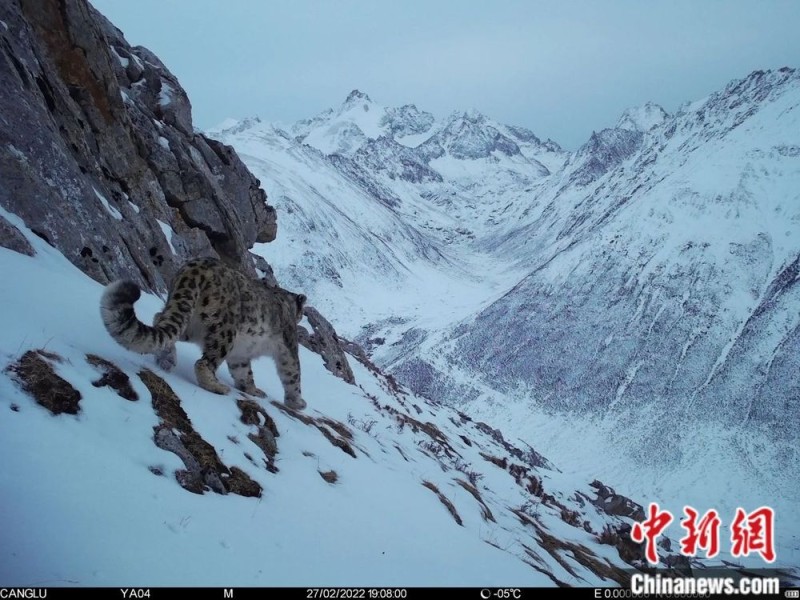 人这一辈子,一定要去一趟西藏!