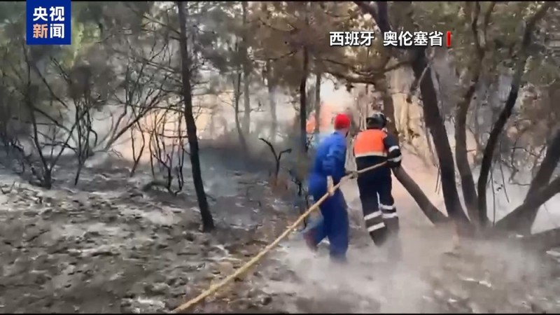 高温持续 欧洲多国山火依然活跃