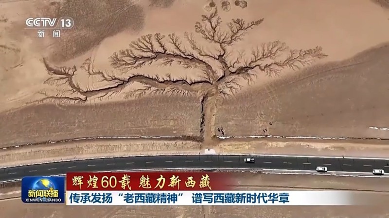 辉煌60载 魅力新西藏丨传承发扬“老西藏精神” 谱写西藏新时代华章
