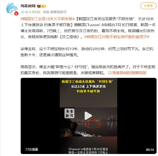 韩国汉江夜间出现黑色“不明生物”：长达10米 上下快速游动