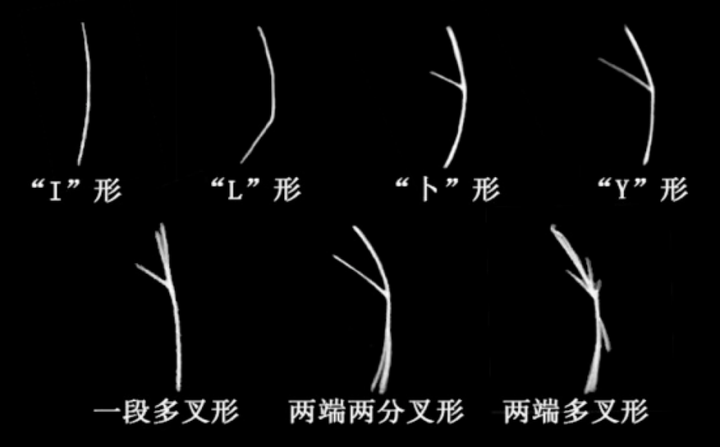 中国的本地的常见食用淡水鱼，为什么大都刺多？纯粹是因为自然条件不好吗？
