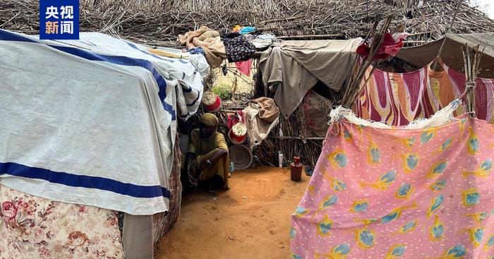 苏丹一难民营遭武装分子袭击 超40人死亡