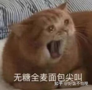 历史上还有哪些称得上“魅魔”的人物?