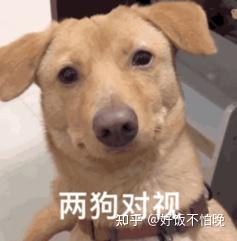 历史上还有哪些称得上“魅魔”的人物?