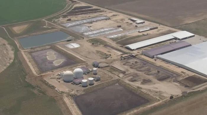 美国科罗拉多州一家奶牛场发现6人死亡