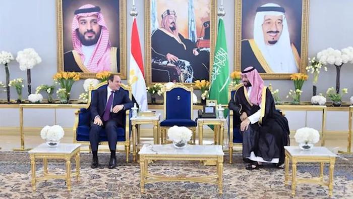 沙特王储会见埃及总统 一致反对以色列军事占领加沙企图
