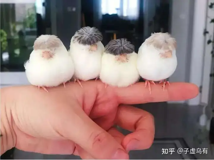 瞎扯 · 想看一看你们拍的有趣的照片?