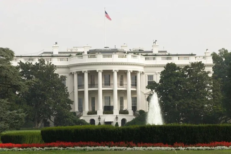 7点出发丨又有人因误食它失去生命!请不要摘!不要吃!