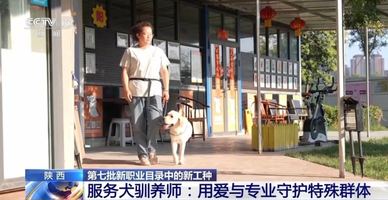 兰州牛肉拉面出考核教材了！来看拉面界的人才培养方式→