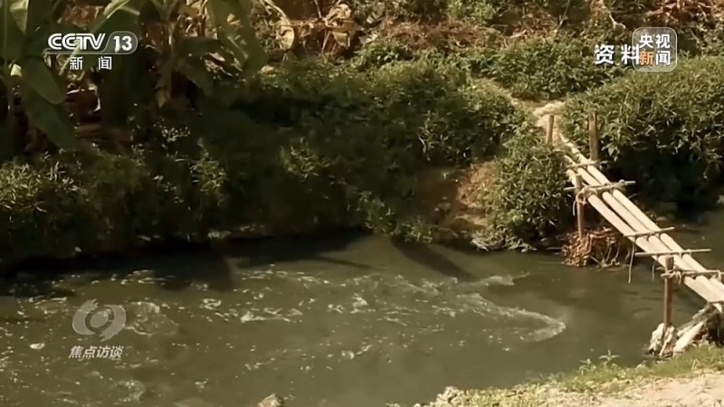 焦点访谈丨城市“绿心”生长记：三城共绘生态宜居图