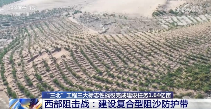 “三北”工程三大标志性战役成效如何?一组数据带你了解