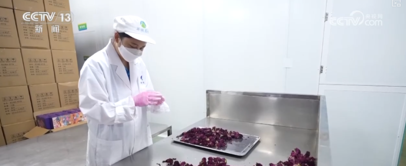 年轻人端起“新饭碗” 职业“上新”折射经济发展动能之变