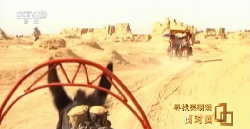 面对面丨中国人的吃瓜自由要感谢她！吴明珠说她的一生就是结几个好瓜献给人民