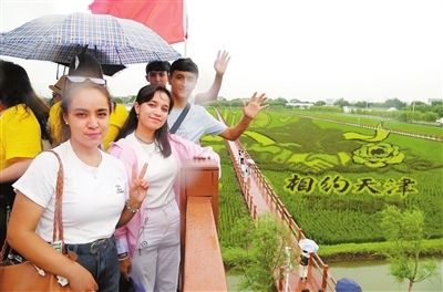 友城天津 近悦远来――从经贸往来到民心相通的合作之旅